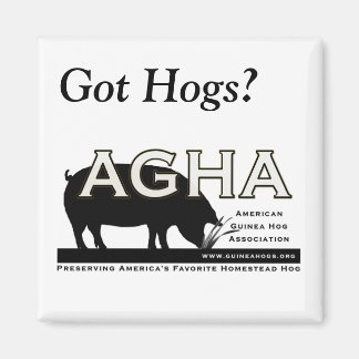 "Har Hogs"-magnet? Magnet