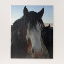 Hår i ögonen Pussel