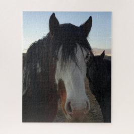 Hår i ögonen Pussel