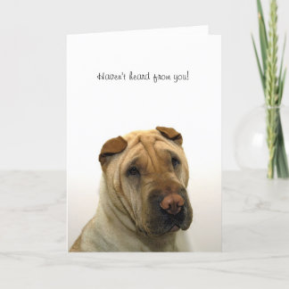 Har inte hört från dig kort