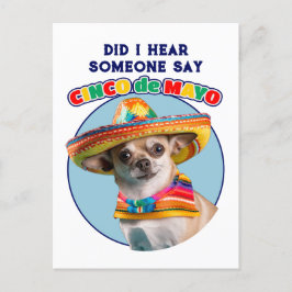 Har jag hört Cinco De Mayo Sombrero Chihuahua Helg Vykort