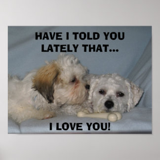 HAR JAG TALAT OM FÖR DIG ATT.. I KÄRLEK ... POSTER