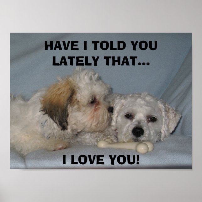 HAR JAG TALAT OM FÖR DIG ATT.. I KÄRLEK ... POSTER (Framsidan)