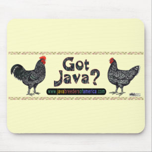 Har Java? Musmatta