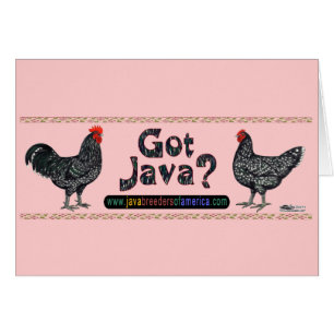Har Java? OBS Kort