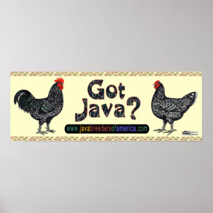 Har Java? Poster