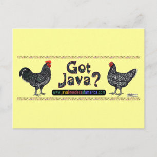 Har Java? Vykort