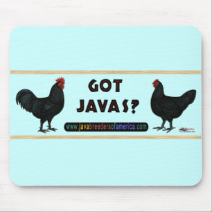 Har Javas? Musmatta