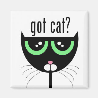 har katt? - Magnet