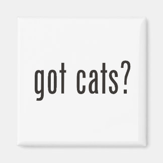 har katter? magnet