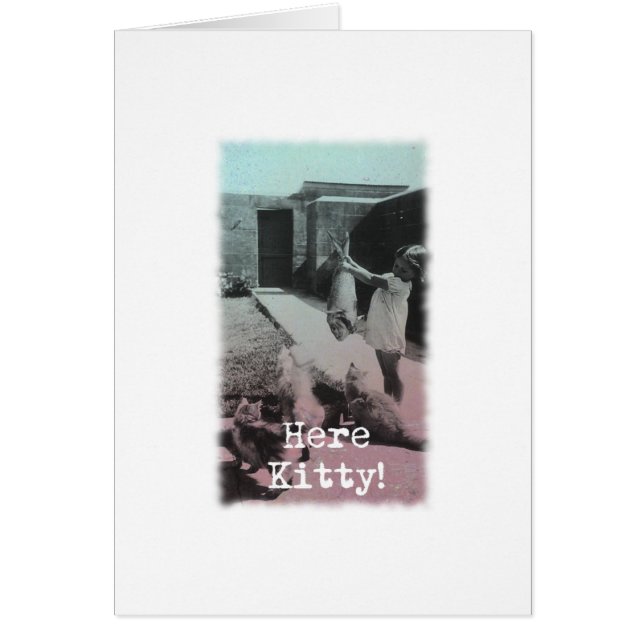 Här Kattunge! Hälsningskort (Framsidan)