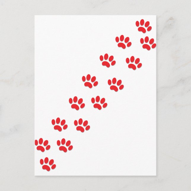 Här Kattunge Tass Vykort (Framsida)