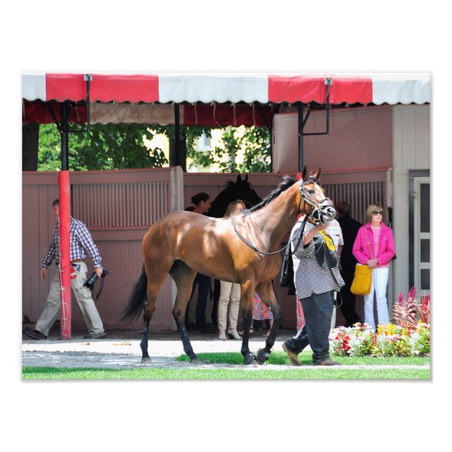 Här kommer Rosie - Saratoga Paddock Fototryck (Framsidan)