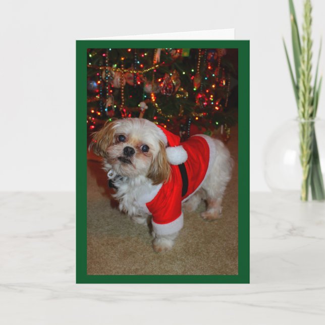 Här kommer Santa Paws! Kort (Framsida)