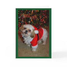 Här kommer Santa Tass!