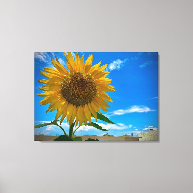 Här kommer sol canvastryck (Framsida)