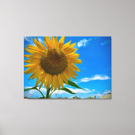 Här kommer sol canvastryck