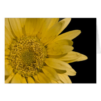 Här kommer sol hälsningskort