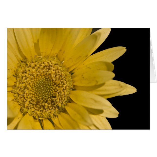 Här kommer sol hälsningskort (Framsidan Horizontal)