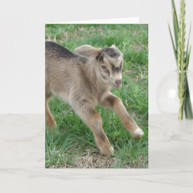 Här kommer Thunder Kort (Framsida)