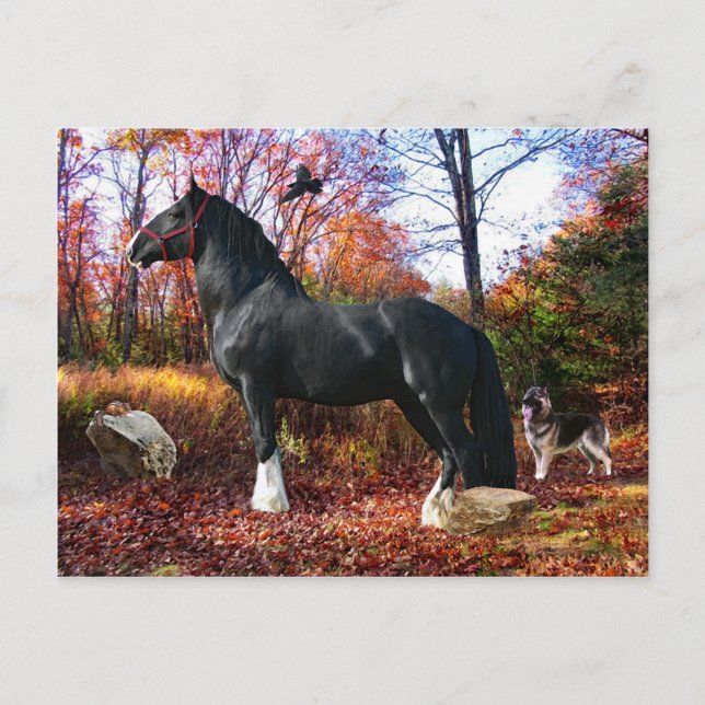 "Här kommer vykortet Sol" Vykort (Framsida)