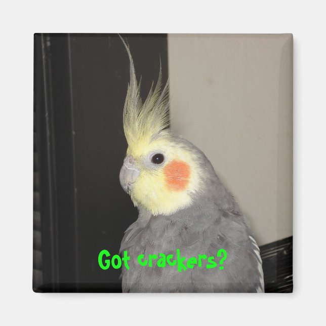 Har krackare? magnet (Framsidan)