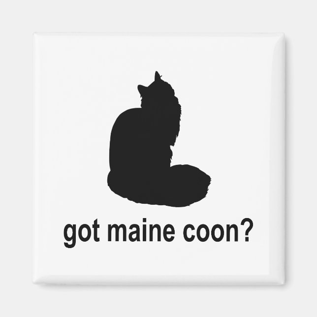Har Maine Coon? Magnet (Framsidan)