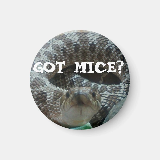 Har Mice? Hognos Magnet (Framsidan)