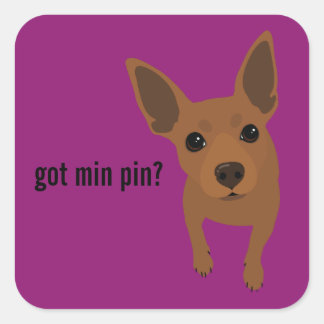 Har Min Pin? Miniature Pinscher (Red) Sticker Fyrkantigt Klistermärke
