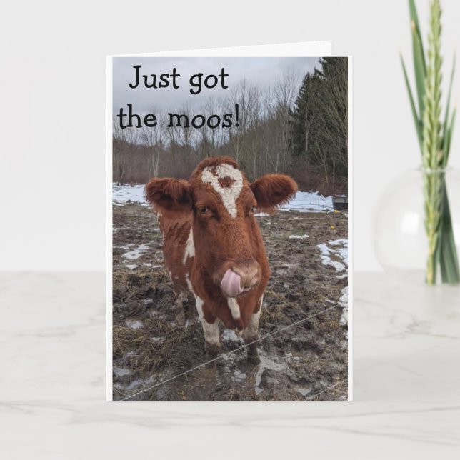 HAR MOOS (NYHETER) LYCKLIG "BIRTHDAY" TILL DIG KORT (Framsida)