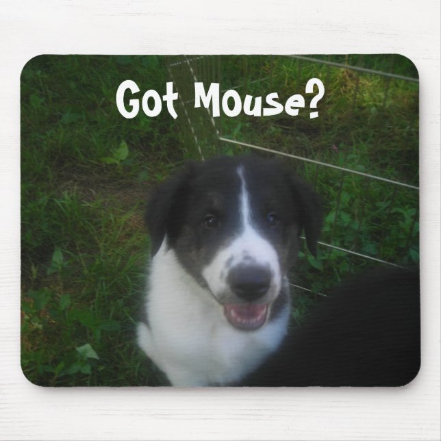 Har Mouse? Musmatta (Framsidan)