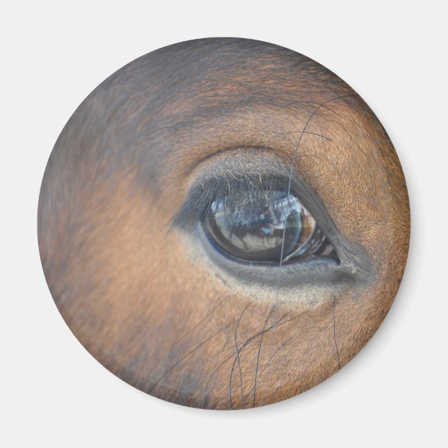 Har My Öga på dig Magnet (Framsidan)