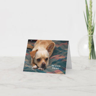 Har någon berättat det för dig? kort