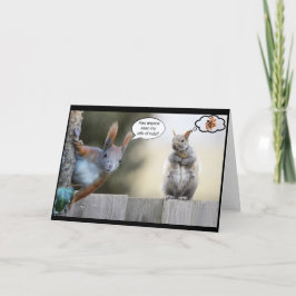 Har någon sett min nöt? kort
