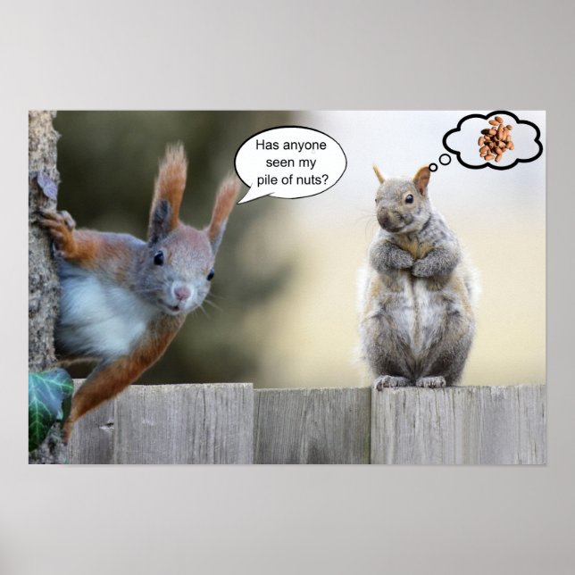 Har någon sett mina nötter? poster (Framsidan)