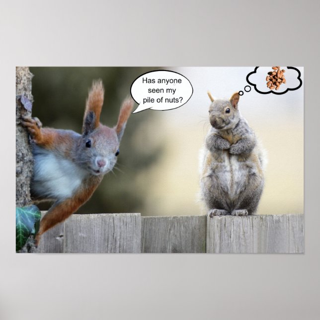 Har någon sett mina nötter? poster (Framsidan)