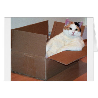 "Har någon sett mina skuggor?" Hälsningskort