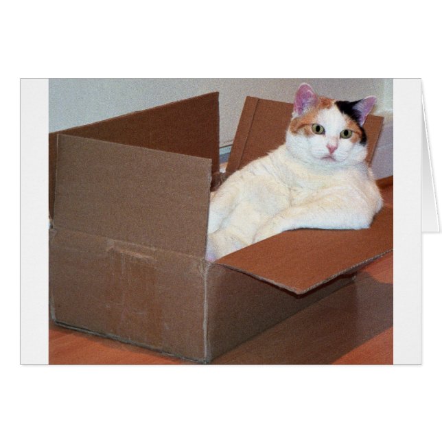 "Har någon sett mina skuggor?" Hälsningskort (Framsidan Horizontal)