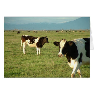 har ost av kor hälsningskort