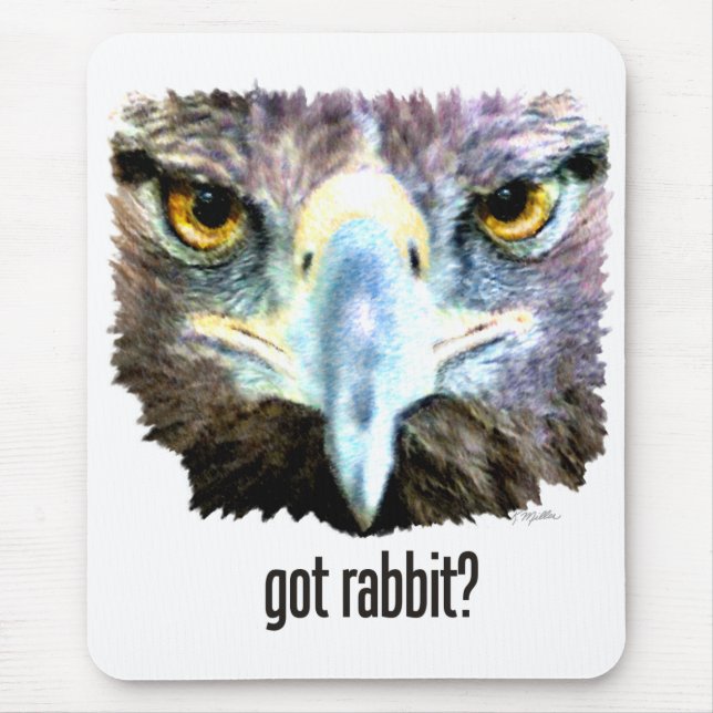 Har Rabbit? Musmatta (Framsidan)