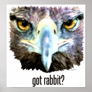 Har Rabbit? Poster