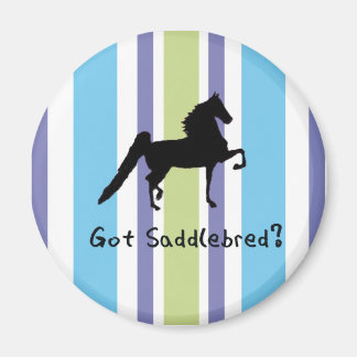 Har Saddleavin? Magnet