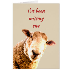 Har saknats Ewe Funny Sheep Animal Humor Hälsningskort