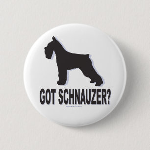 Har Schnauzer? Knapp