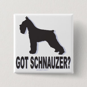 Har Schnauzer? Knapp