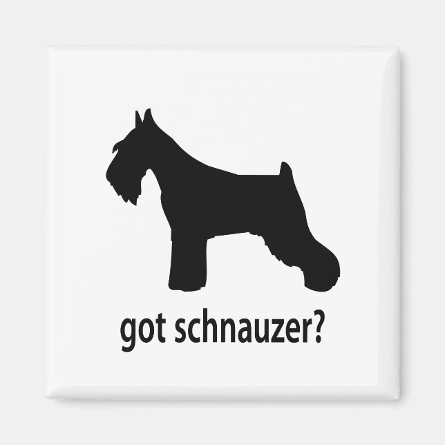 Har Schnauzer Magnet (Framsidan)