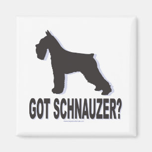 Har Schnauzer? Magnet