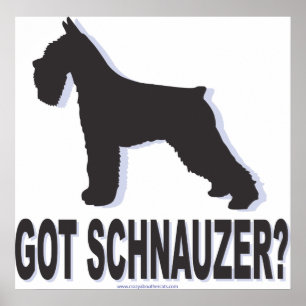 har schnauzer poster