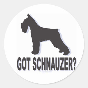 Har Schnauzer? Runt Klistermärke