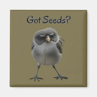 Har Seeds Magnet
